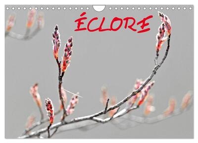 Picture of ÉCLORE (Calendrier mural 2026 DIN A4 vertical), CALVENDO calendrier mensuel