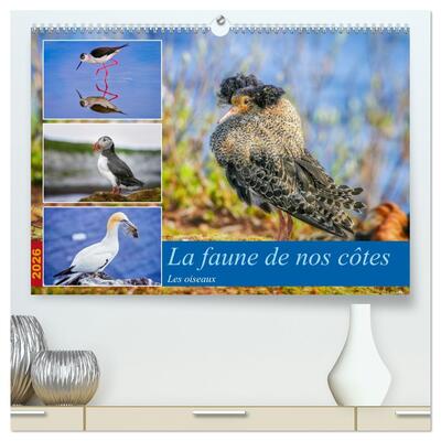 Picture of La faune de nos côtes les oiseaux  (Calendrier mural 2026 DIN A2 vertical) calendrier de bureau