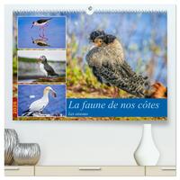 Picture of La faune de nos côtes les oiseaux  (Calendrier mural 2026 DIN A2 vertical) calendrier de bureau