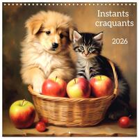 Picture of Instants craquants (Calendrier mural carré 2026 30x30 cm) Calendrier double avec une page pour vos prises de notes