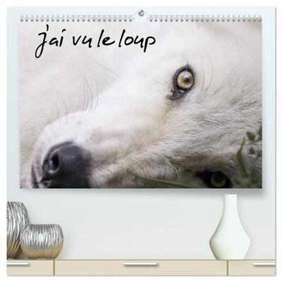 Picture of J'ai vu le loup  (Calendrier mural 2026 DIN A2 vertical) calendrier de bureau