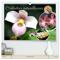 Picture of Orchidées merveilleuses  (Calendrier mural 2026 DIN A2 vertical) calendrier de bureau