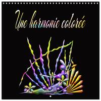 Image de Une harmonie colorée (Calendrier mural carré 2026 30x30 cm) Calendrier double avec une page pour vos prises de notes