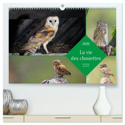 Picture of La vie des chouettes, les dames de la nuit  (Calendrier mural 2026 DIN A2 vertical) calendrier de bureau
