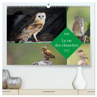 Picture of La vie des chouettes, les dames de la nuit  (Calendrier mural 2026 DIN A2 vertical) calendrier de bureau