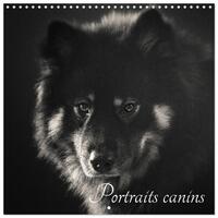Image de Portraits canins (Calendrier mural carré 2026 30x30 cm) Calendrier double avec une page pour vos prises de notes