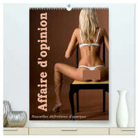 Picture of Affaire d'opinion - Nouvelles définitions d'aperçus  (Calendrier mural 2026 DIN A2 horizontal) calendrier de bureau