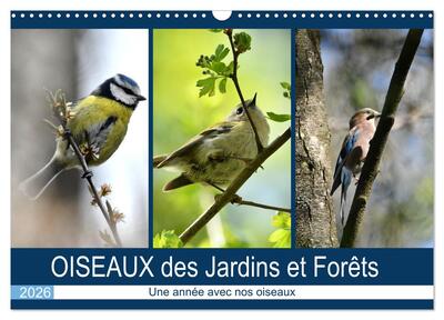 Picture of OISEAUX des Jardins et Forêts (Calendrier mural 2026 DIN A3 vertical), CALVENDO calendrier mensuel