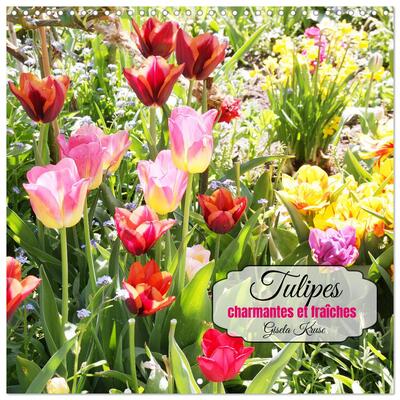 Image de Tulipes charmantes et fraîches (Calendrier mural carré 2026 30x30 cm) Calendrier double avec une page pour vos prises de notes
