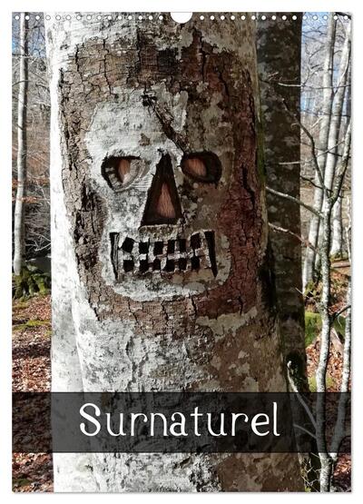 Picture of Surnaturel (Calendrier mural 2026 DIN A3 horizontal), CALVENDO calendrier mensuel