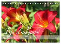Picture of Lys d'un jour (Calendrier de bureau 2026 DIN A5 vertical), CALVENDO calendrier mensuel