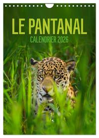 Picture of Le Pantanal (Calendrier mural 2026 DIN A4 horizontal), CALVENDO calendrier mensuel