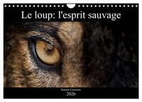 Picture of Le loup: l'esprit sauvage (Calendrier mural 2026 DIN A4 vertical), CALVENDO calendrier mensuel