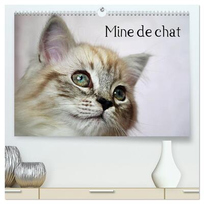 Picture of Mine de chat  (Calendrier mural 2026 DIN A2 vertical) calendrier de bureau