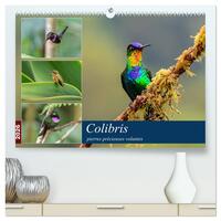 Image de Colibris - pierres précieuses volantes  (Calendrier mural 2026 DIN A2 vertical) calendrier de bureau