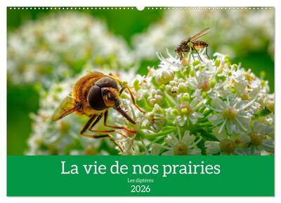 Image de La vie de nos prairies - Les diptères (Calendrier mural 2026 DIN A2 vertical), CALVENDO calendrier mensuel