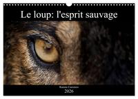 Picture of Le loup: l'esprit sauvage (Calendrier mural 2026 DIN A3 vertical), CALVENDO calendrier mensuel