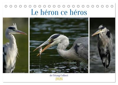 Picture of Le héron ce héros de l'étang Colbert (Calendrier de bureau 2026 DIN A5 vertical), CALVENDO calendrier mensuel