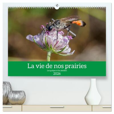 Image de La vie de nos prairies - Les guêpes et les abeilles  (Calendrier mural 2026 DIN A2 vertical) calendrier de bureau