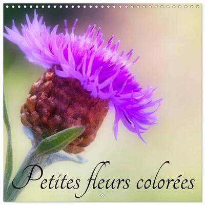 Image de Petites fleurs colorées (Calendrier mural carré 2026 30x30 cm) Calendrier double avec une page pour vos prises de notes