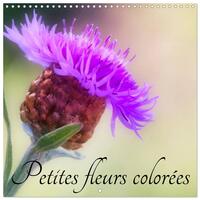 Image de Petites fleurs colorées (Calendrier mural carré 2026 30x30 cm) Calendrier double avec une page pour vos prises de notes