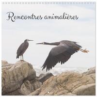 Picture of Rencontres animalières (Calendrier mural carré 2026 30x30 cm) Calendrier double avec une page pour vos prises de notes
