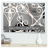 Picture of Les chevaux du Maroc  (Calendrier mural 2026 DIN A2 vertical) calendrier de bureau