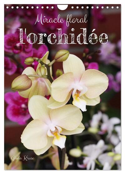 Image de Miracle floral l'orchidée (Calendrier mural 2026 DIN A4 horizontal), CALVENDO calendrier mensuel