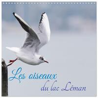 Picture of Les oiseaux du lac Léman (Calendrier mural carré 2026 30x30 cm) Calendrier double avec une page pour vos prises de notes