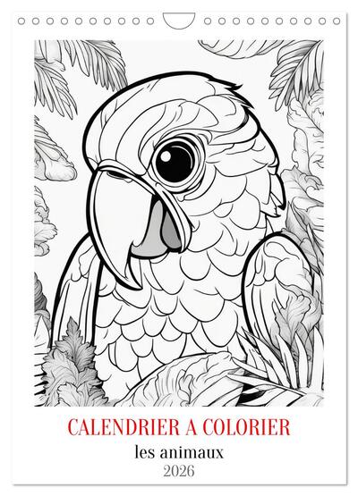 Picture of Calendrier à colorier (Calendrier mural 2026 DIN A4 horizontal), CALVENDO calendrier mensuel