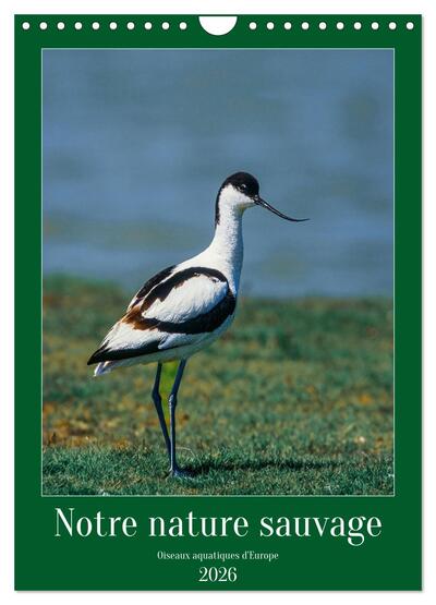 Picture of Notre nature sauvage, oiseaux aquatiques d'Europe (Calendrier mural 2026 DIN A4 horizontal), CALVENDO calendrier mensuel