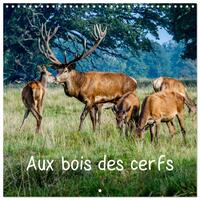 Picture of Aux bois des cerfs (Calendrier mural carré 2026 30x30 cm) Calendrier double avec une page pour vos prises de notes