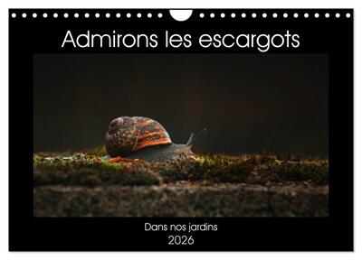 Image de Admirons les escargots (Calendrier mural 2026 DIN A4 vertical), CALVENDO calendrier mensuel
