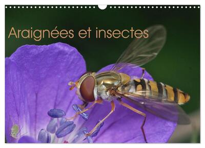 Picture of Araignées et insectes (Calendrier mural 2026 DIN A3 vertical), CALVENDO calendrier mensuel
