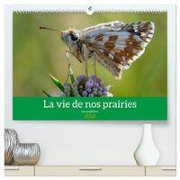 Image de La vie de nos prairie, les papillons  (Calendrier mural 2026 DIN A2 vertical) calendrier de bureau