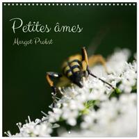 Image de Petites âmes (Calendrier mural carré 2026 30x30 cm) Calendrier double avec une page pour vos prises de notes