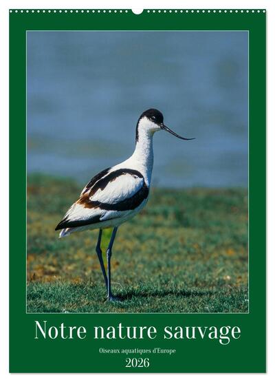 Picture of Notre nature sauvage, oiseaux aquatiques d'Europe (Calendrier mural 2026 DIN A2 horizontal), CALVENDO calendrier mensuel