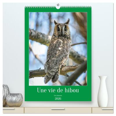 Picture of Une vie de hibou les oiseaux  (Calendrier mural 2026 DIN A2 horizontal) calendrier de bureau