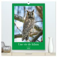 Picture of Une vie de hibou les oiseaux  (Calendrier mural 2026 DIN A2 horizontal) calendrier de bureau