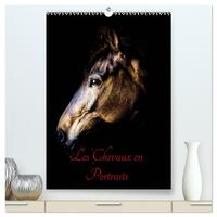 Picture of Chevaux en Portraits  (Calendrier mural 2026 DIN A2 horizontal) calendrier de bureau