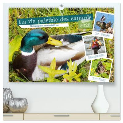 Picture of La vie paisible des canards  (Calendrier mural 2026 DIN A2 vertical) calendrier de bureau
