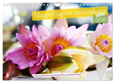 Picture of Magnifiques nénuphars (Calendrier mural 2026 DIN A4 vertical), CALVENDO calendrier mensuel