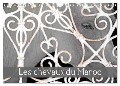 Picture of Les chevaux du Maroc (Calendrier mural 2026 DIN A4 vertical), CALVENDO calendrier mensuel