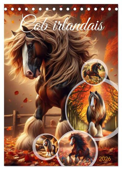 Image de Cob irlandais (Calendrier de bureau 2026 DIN A5 horizontal), CALVENDO calendrier mensuel