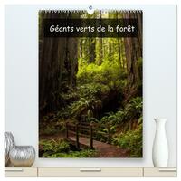 Picture of Géants verts de la forêt  (Calendrier mural 2026 DIN A2 horizontal) calendrier de bureau