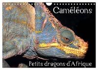 Picture of Caméléons - Petits dragons d'Afrique. (Calendrier mural 2026 DIN A4 vertical), CALVENDO calendrier mensuel