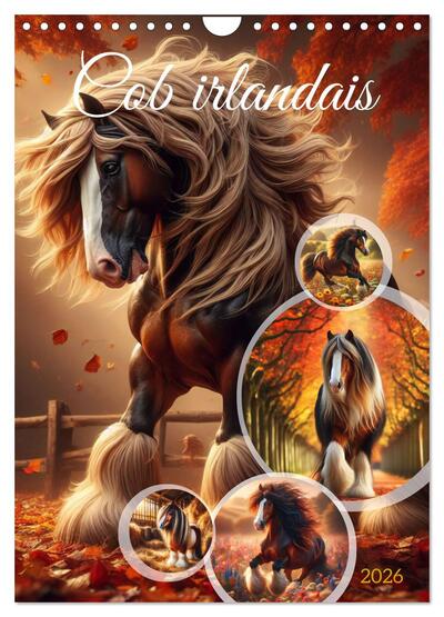 Image de Cob irlandais (Calendrier mural 2026 DIN A4 horizontal), CALVENDO calendrier mensuel