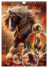 Picture of Cob irlandais (Calendrier mural 2026 DIN A4 horizontal), CALVENDO calendrier mensuel