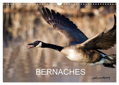 Picture of BERNACHES (Calendrier mural 2026 DIN A3 vertical), CALVENDO calendrier mensuel