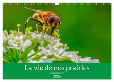 Picture of La vie de nos prairie, les ombellifères (Calendrier mural 2026 DIN A3 vertical), CALVENDO calendrier mensuel